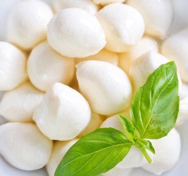 lezzetli mozzarella gıda