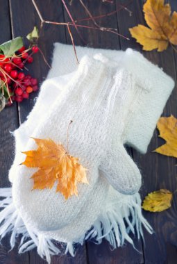 Beyaz eldiven ve atkı