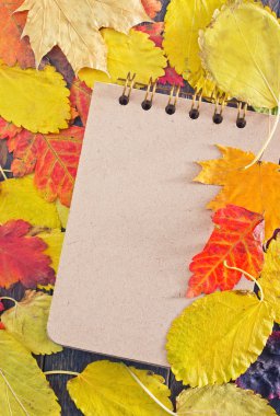 Sonbahar yaprakları ve not defteri
