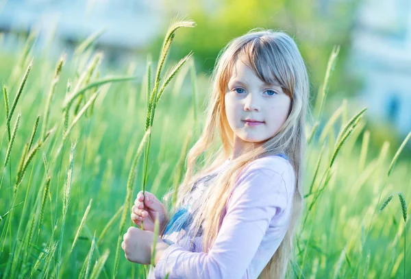 Gadis kecil pirang di lapangan — Stok Foto