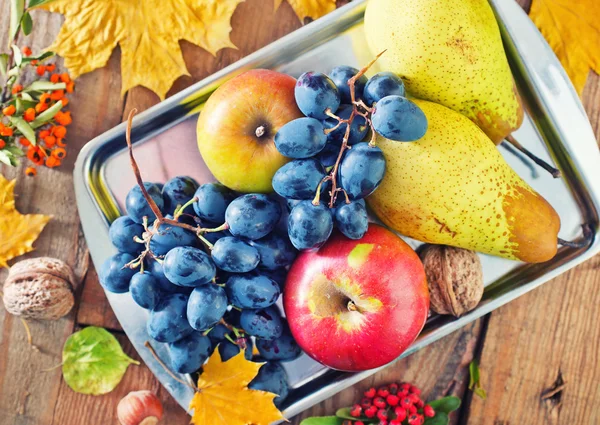 Autumn harvest on tray — Stock Photo, Image