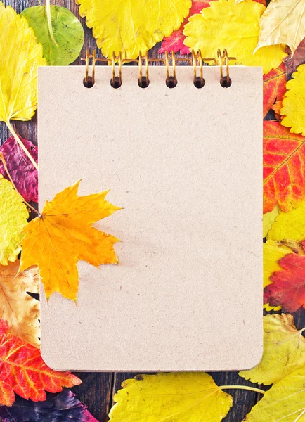 Sonbahar yaprakları ve not defteri