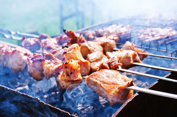 맛 있는 고기 케밥 — 스톡 사진