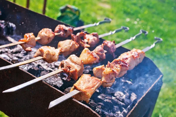 Carne saborosa Kebab — Fotografia de Stock