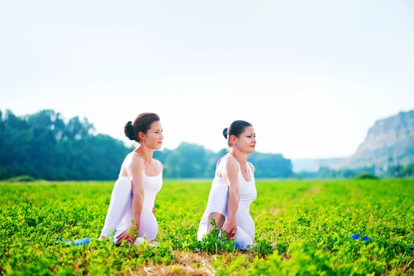 Women practicing yoga in field — Stock Photo, Image