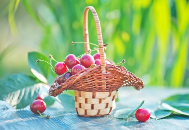 Sepette taze kirazlar