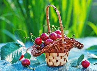 Sepette taze kirazlar