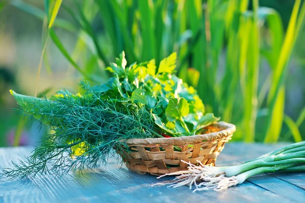 Aroma plants in bowl — Stock Photo, Image