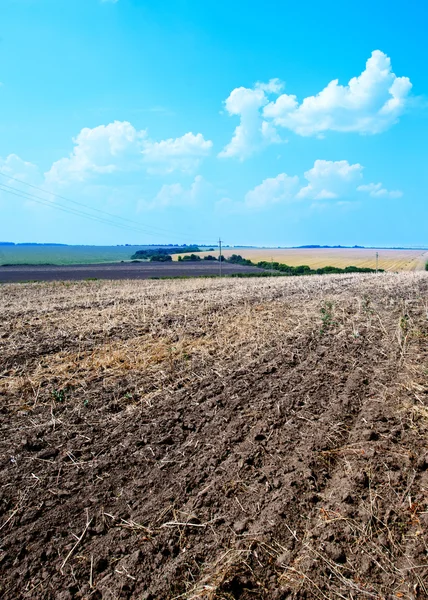 Ploughed field with sky — Stock Photo, Image