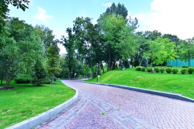 Ukrayna şehir parkında yaz