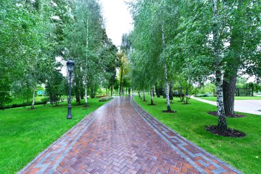 Ukrayna şehir parkında yaz
