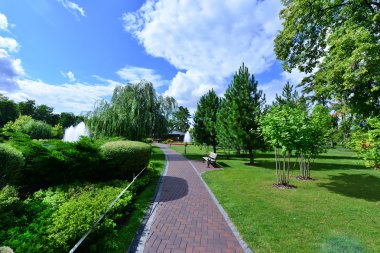 Novi Petrivtsi Park'ta yaz