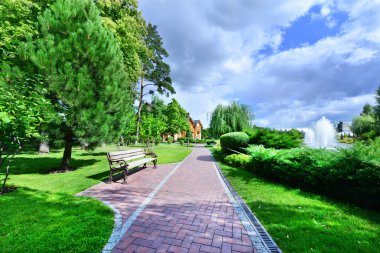 Novi Petrivtsi Park'ta yaz