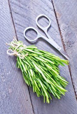 taze mercanköşk fışkın