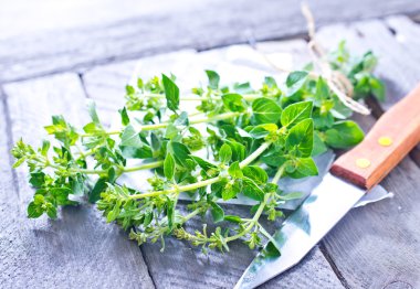 taze mercanköşk dal