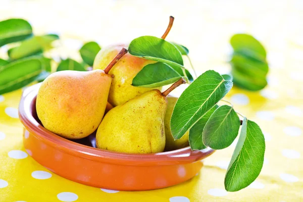 Fresh pears in bowl — Stock Photo, Image