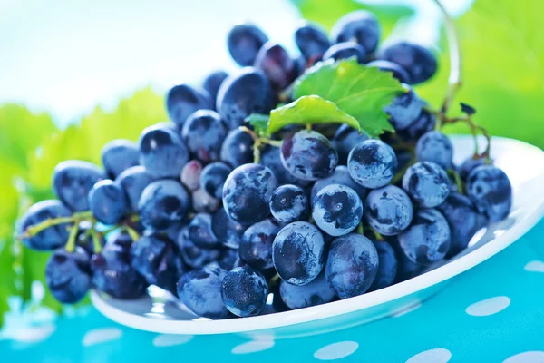 Grape on white plate — Stock Photo, Image
