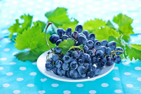 Uva en plato blanco — Foto de Stock