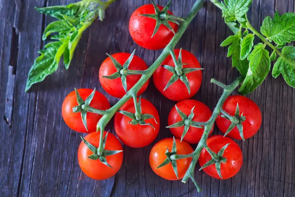 Tomates rojos cereza —  Fotos de Stock