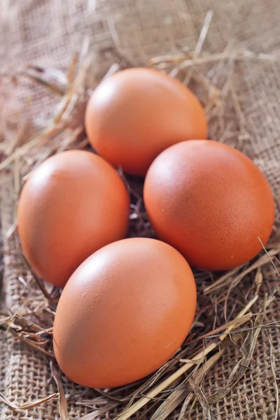 Huevos de pollo crudos — Foto de Stock