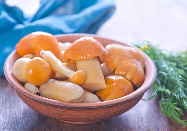 Marinated mushrooms in bowl — Stock Photo, Image