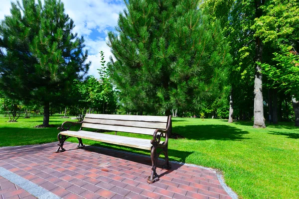 Zomer park in Novi Petrivtsi — Stockfoto