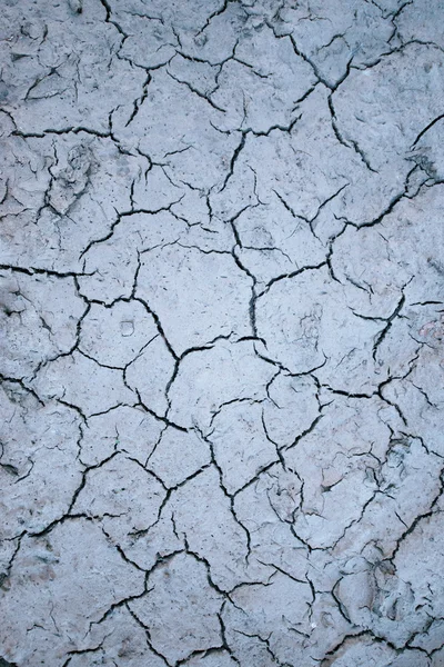 Grungy dry cracking parched earth — Stock Photo, Image