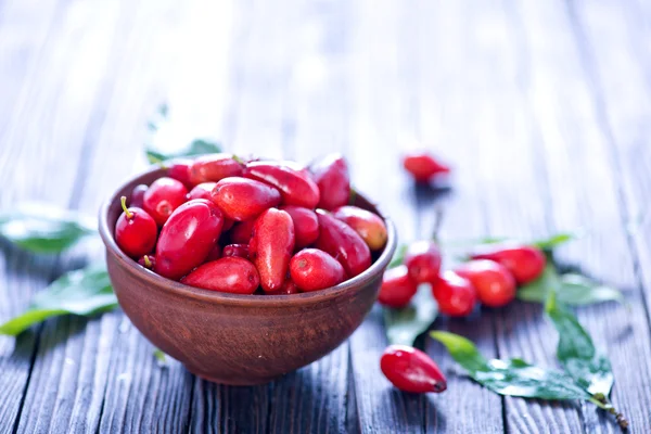 Bacche rosse di cornus — Foto Stock