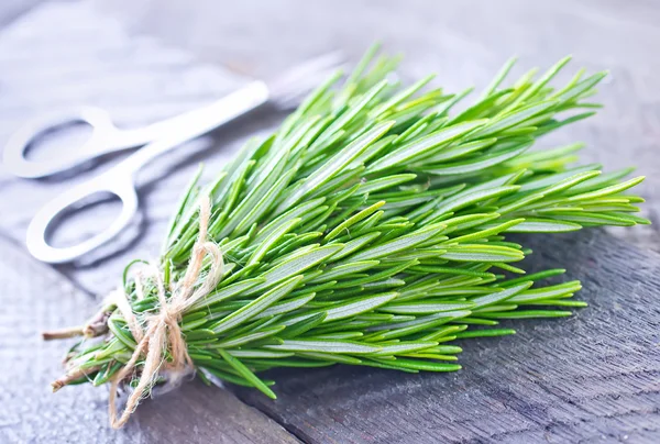 Fresh marjoram sprig — Stock Photo, Image