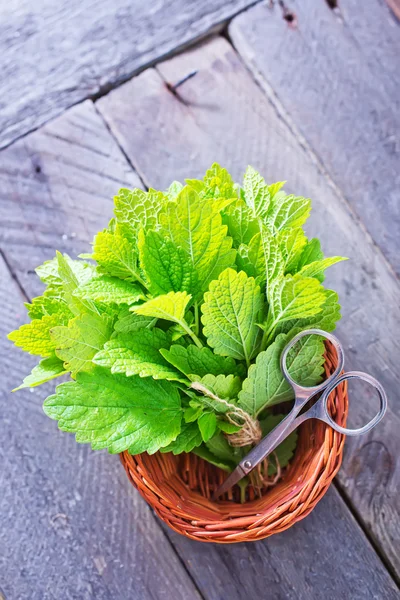 Ervas aromáticas frescas — Fotografia de Stock