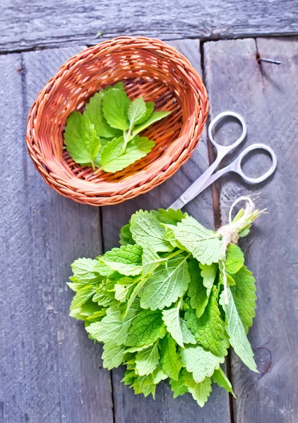 Ervas aromáticas frescas — Fotografia de Stock