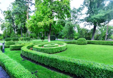 yaz yeşil park Ukrayna