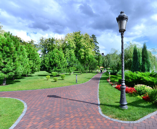 summer green  park in Ukraine