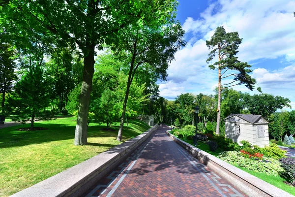 Sommergrüner Park in der Ukraine — Stockfoto