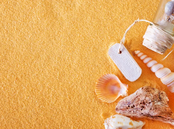 Conchas de mar y piedra — Foto de Stock