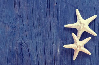 ahşap zemin üzerinde deniz yıldızı