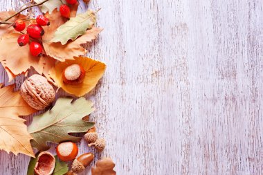 sonbahar fındık ve yaprakları