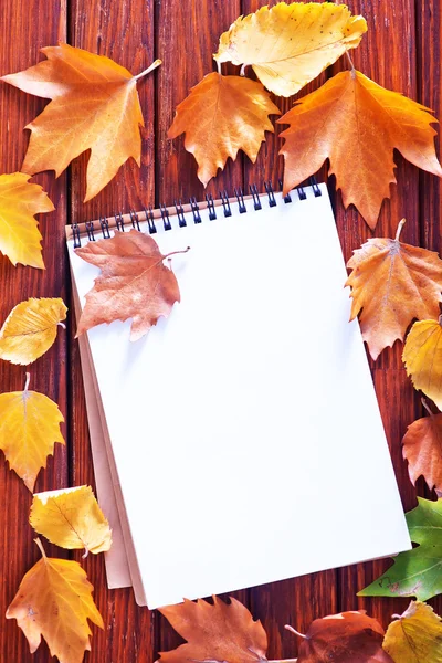 Autunno sfondo con foglie gialle — Foto Stock