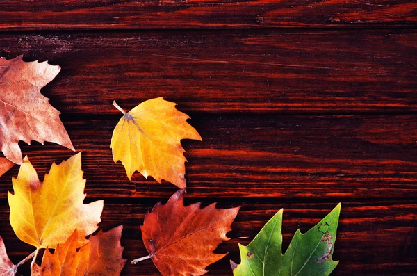 Herbst Hintergrund mit gelben Blättern — Stockfoto