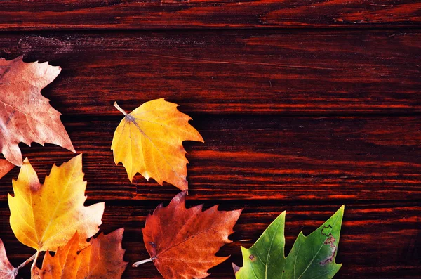 Autunno sfondo con foglie gialle — Foto Stock