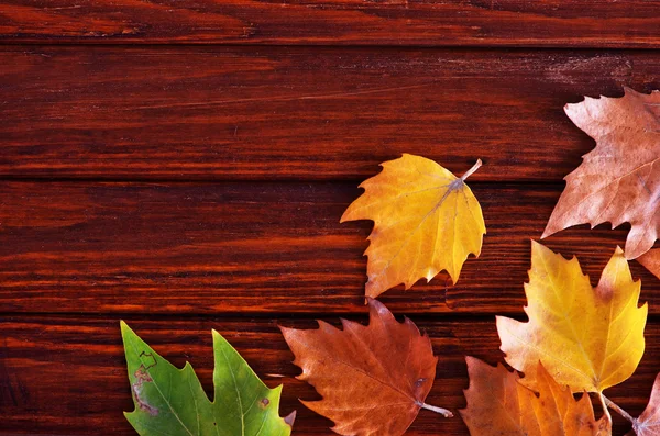 Fondo de otoño con hojas amarillas — Foto de Stock