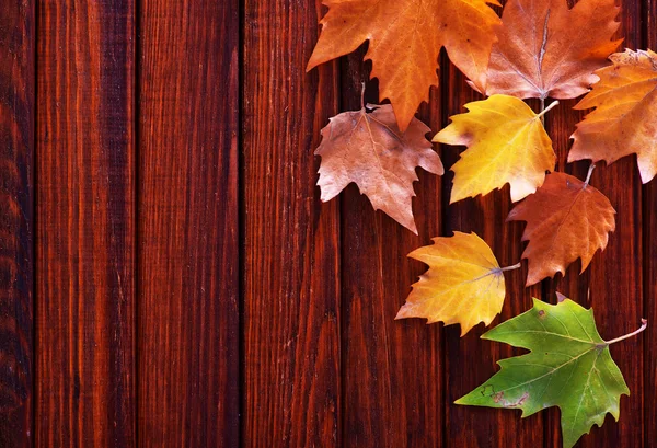 Herbst Hintergrund mit gelben Blättern — Stockfoto