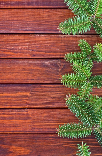 Fond de Noël avec sapin — Photo