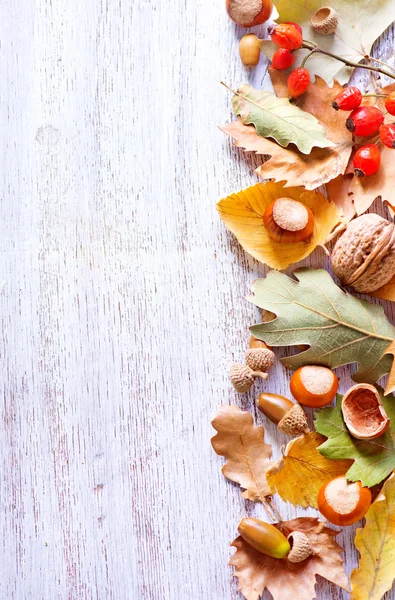 Autumn nuts and leaves — Stock Photo, Image