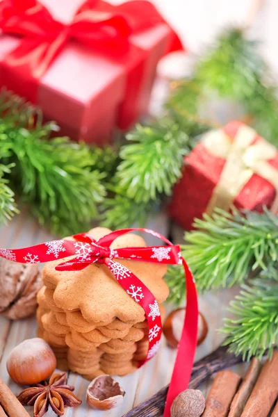 Biscotti di Natale con spezie — Foto Stock