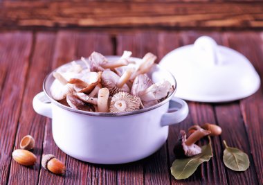 Mantar beyaz tencerede