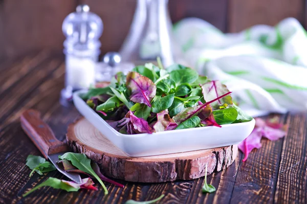 Ensalada de hojas frescas — Foto de Stock