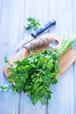 taze yeşil maydanoz