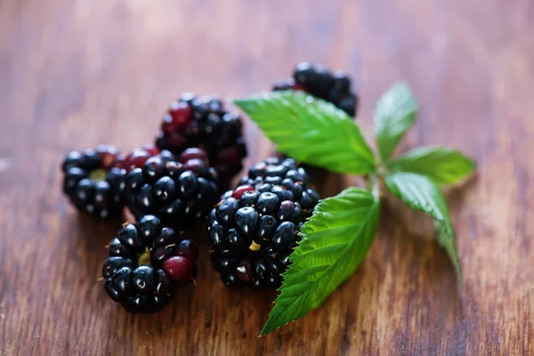 Fresh blackberries and leaves — Stock Photo, Image