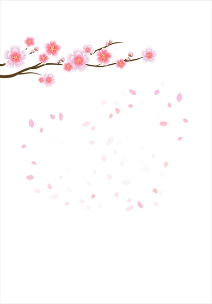 Sakura-Zweig mit Blumen. Kirschblütenzweig mit Blütenblättern — Stockvektor